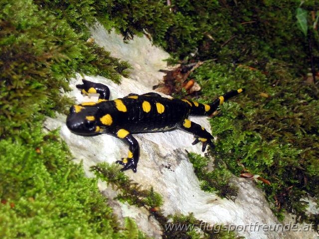 kobarid_002.jpg