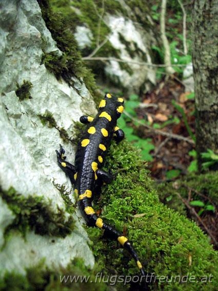 kobarid_067.jpg
