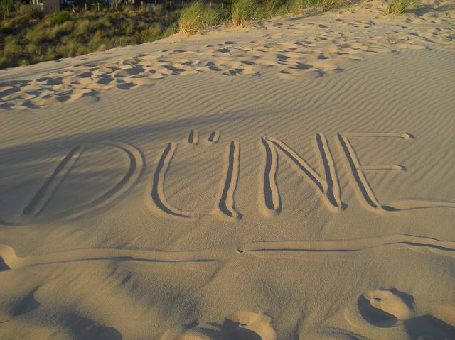 dune08_124.jpg