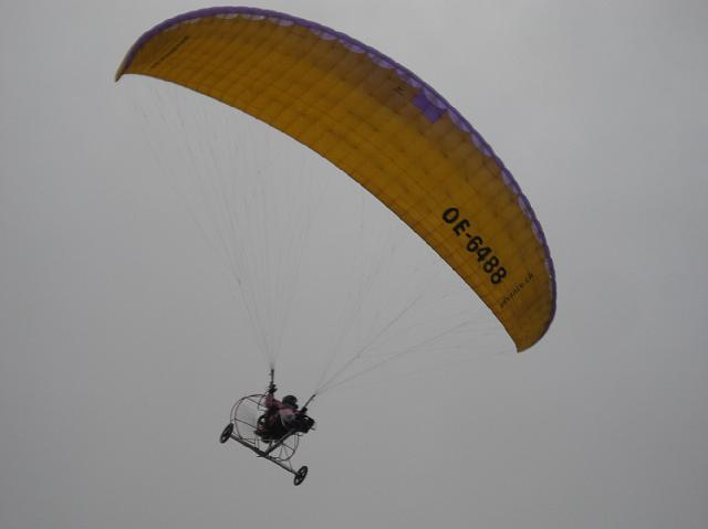 flife08_095.jpg