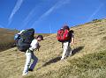 greim_08
