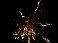 silvester_016