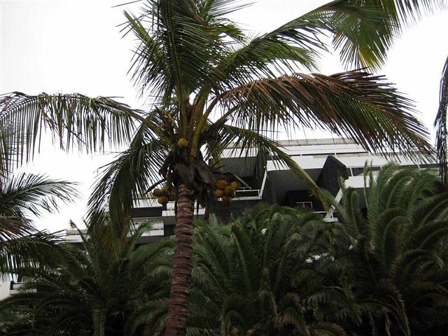 la_palma_004.jpg