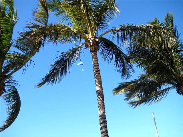 la_palma_016.jpg