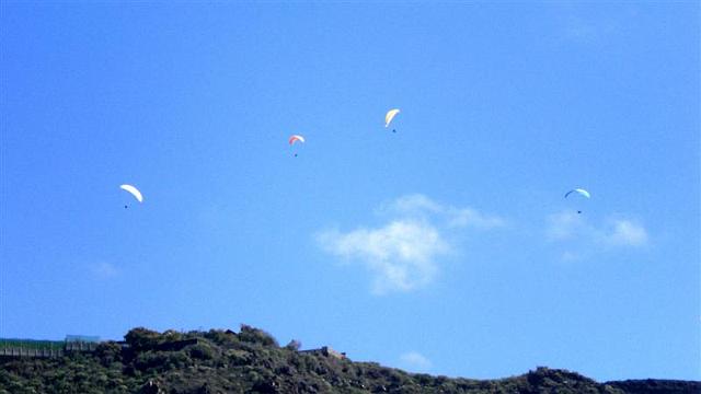 la_palma_039.jpg