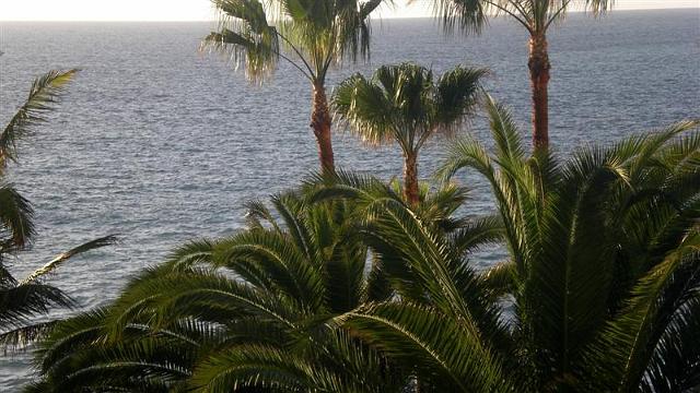 la_palma_076.jpg
