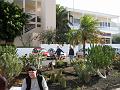 la_palma_005