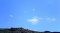 la_palma_039