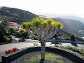 la_palma_074