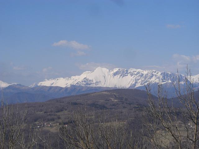 lijak_011.jpg