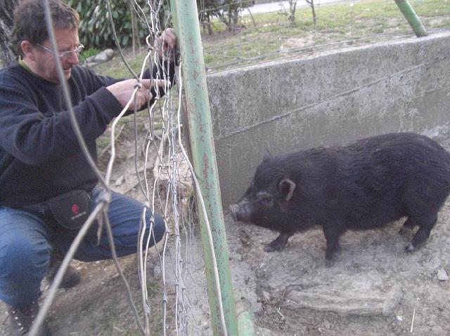 lijak_014.jpg