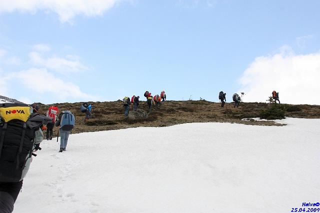 vergleichsfliegen_005.jpg