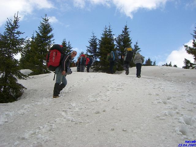 vergleichsfliegen_009.jpg