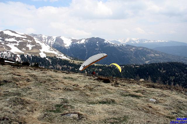 vergleichsfliegen_017.jpg