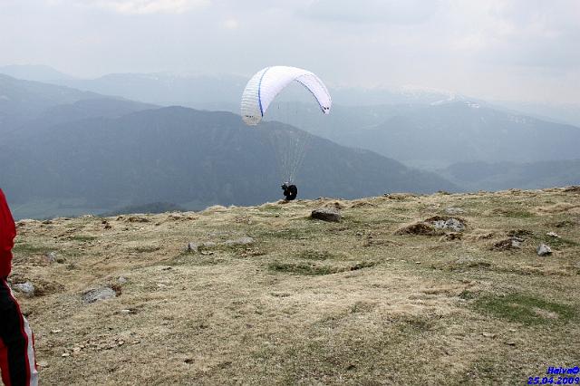 vergleichsfliegen_019.jpg