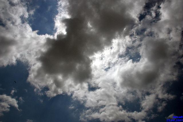 vergleichsfliegen_023.jpg