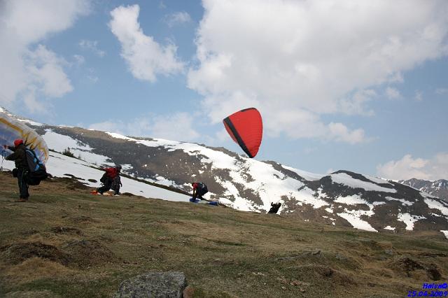 vergleichsfliegen_028.jpg