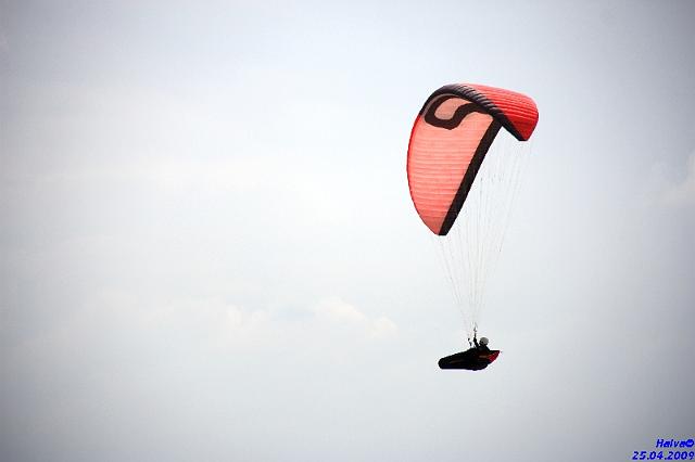 vergleichsfliegen_030.jpg