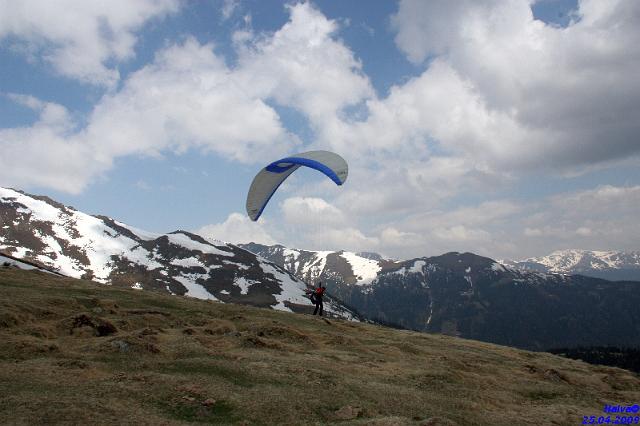 vergleichsfliegen_032.jpg