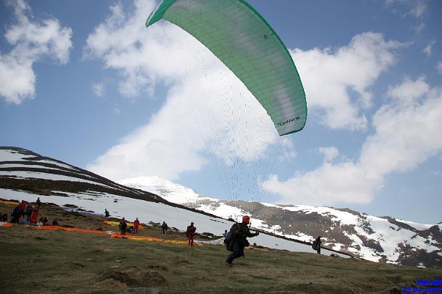 vergleichsfliegen_033.jpg