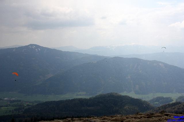 vergleichsfliegen_035.jpg