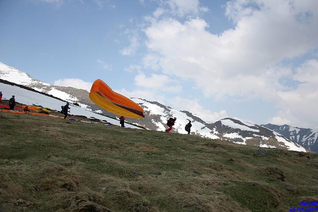 vergleichsfliegen_043.jpg