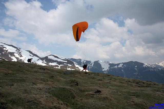 vergleichsfliegen_045.jpg