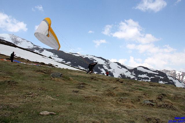 vergleichsfliegen_050.jpg