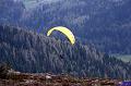 vergleichsfliegen_018