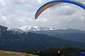 vergleichsfliegen_022
