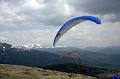 vergleichsfliegen_029