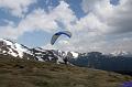 vergleichsfliegen_032