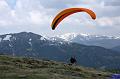 vergleichsfliegen_046