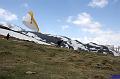 vergleichsfliegen_050