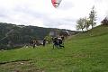 tandem_045