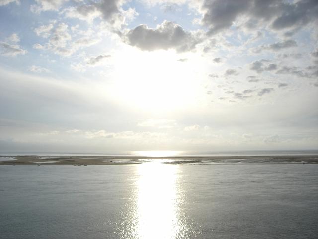duene_128.jpg