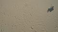 duene_175