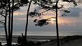 duene_190
