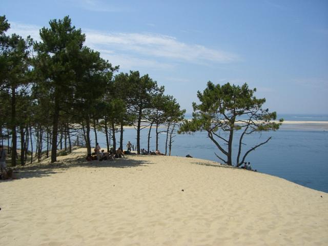 duene_193.jpg