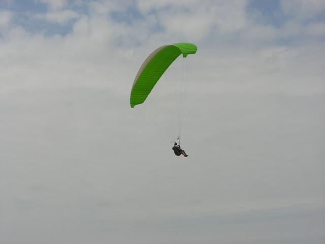 duene_225.jpg