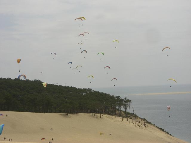 duene_231.jpg