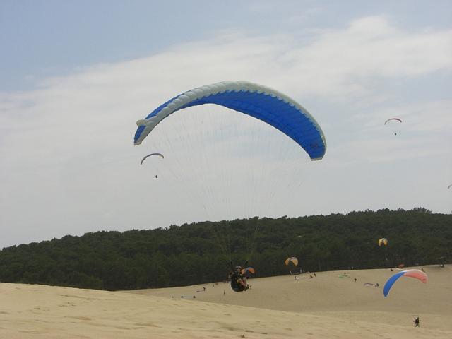 duene_239.jpg