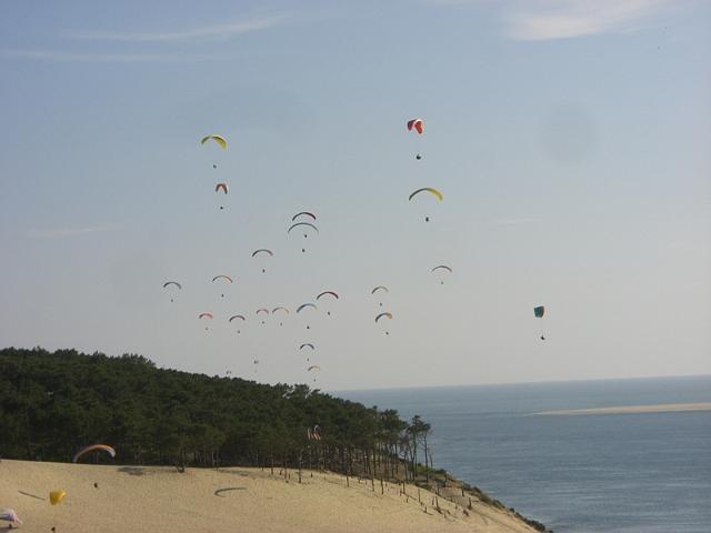 duene_246.jpg