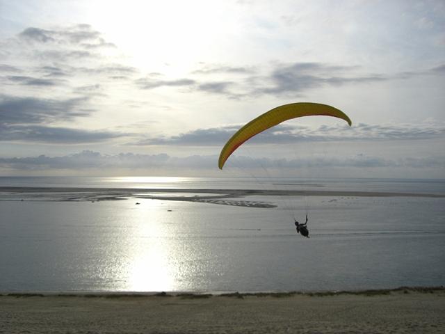 duene_247.jpg