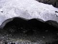 glockner_mogli_006