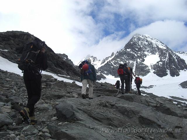 glockner_viper_08.JPG