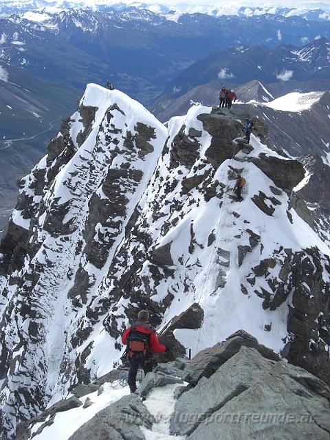 glockner_viper_50.JPG
