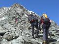 glockner_viper_21