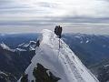 glockner_viper_44