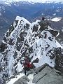 glockner_viper_50